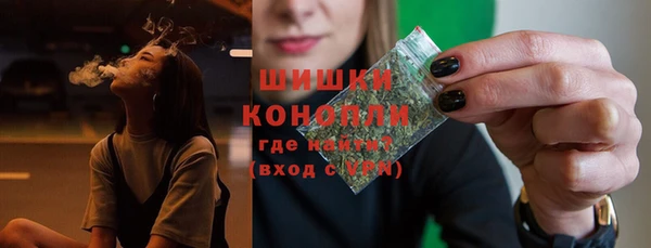 гидра Снежногорск