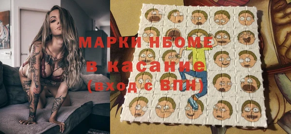 мдпв Богородицк