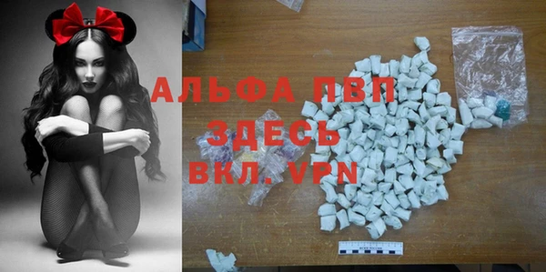 гидра Снежногорск