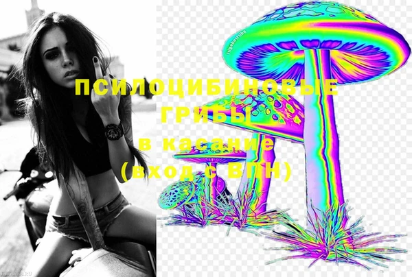 гидра Белоозёрский