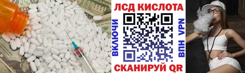 где продают наркотики  Гусев  Лсд 25 экстази ecstasy 