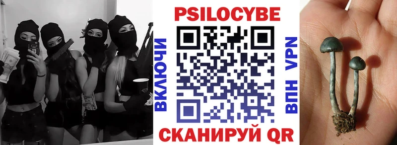 darknet формула Гусев Галлюциногенные грибы Magic Shrooms