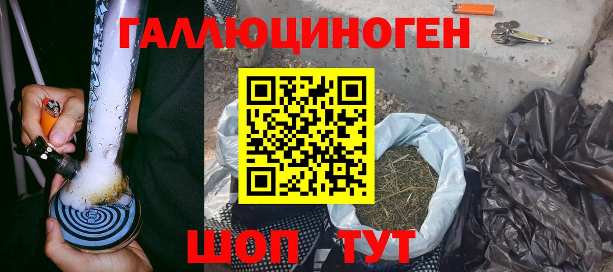 Псилоцибиновые грибы прущие грибы  Псилоцибиновые грибы мицелий  Вход с VPN  Гусев 